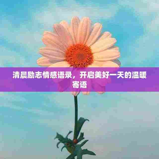 清晨励志情感语录,开启美好一天的温暖寄语
