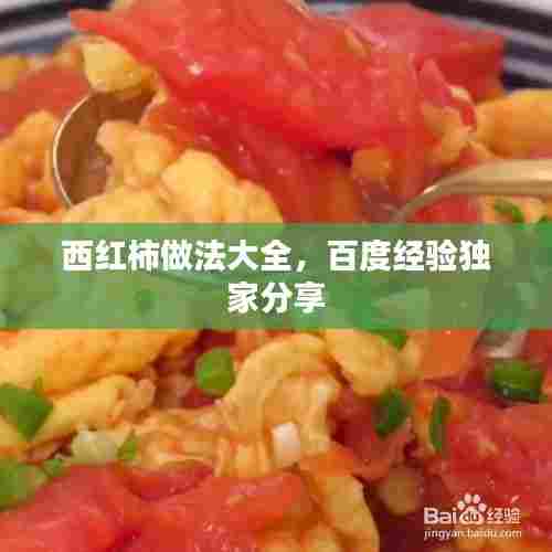 西红柿做法大全,百度经验独家分享