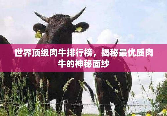 世界顶级肉牛排行榜,揭秘最优质肉牛的神秘面纱