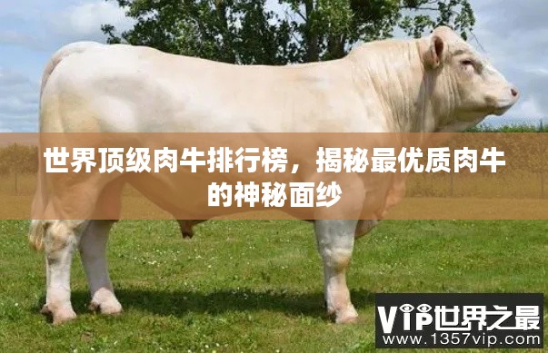 世界顶级肉牛排行榜,揭秘最优质肉牛的神秘面纱