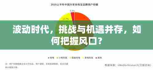 波动时代,挑战与机遇并存,如何把握风口?