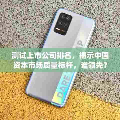 测试上市公司排名,揭示中国资本市场质量标杆,谁领先?