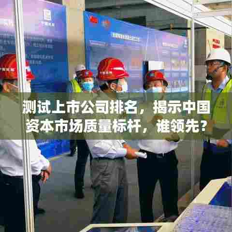 测试上市公司排名,揭示中国资本市场质量标杆,谁领先?