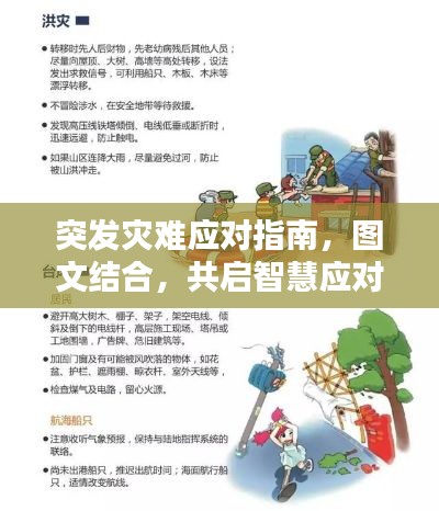 突发灾难应对指南,图文结合,共启智慧应对之路