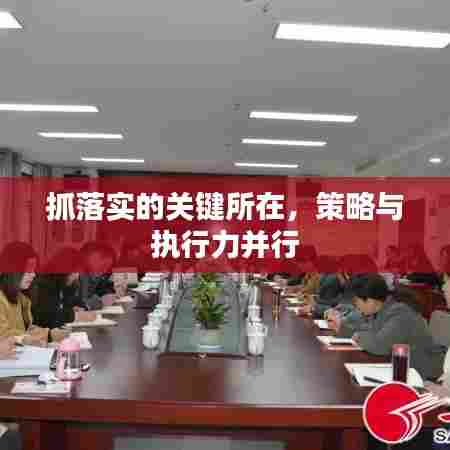 虫言鸟迹 第5页