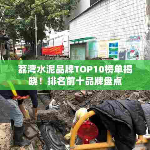 荔湾水泥品牌TOP10榜单揭晓！排名前十品牌盘点