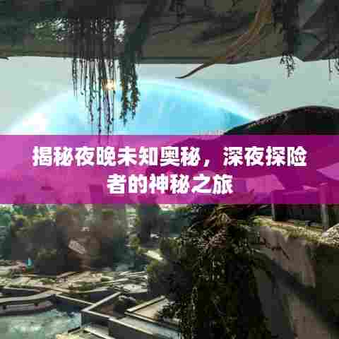 揭秘夜晚未知奥秘，深夜探险者的神秘之旅