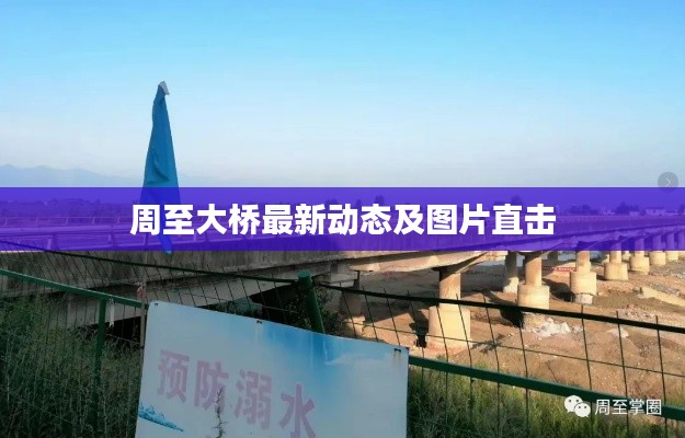 周至大桥最新动态及图片直击