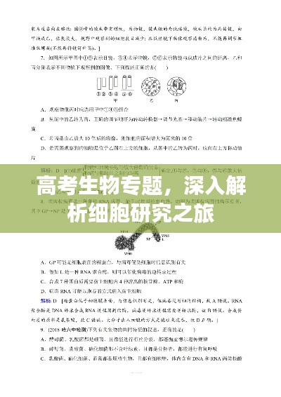 高考生物专题,深入解析细胞研究之旅