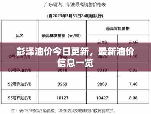 彭泽油价今日更新，最新油价信息一览