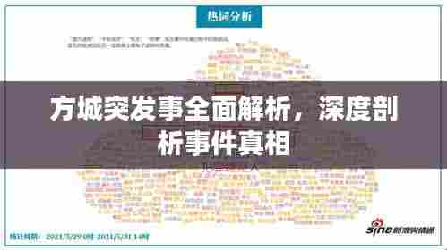 方城突发事全面解析,深度剖析事件真相