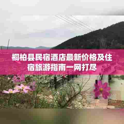 桐柏县民宿酒店最新价格及住宿旅游指南一网打尽