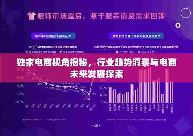 独家电商视角揭秘,行业趋势洞察与电商未来发展探索