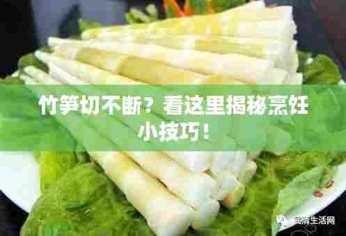 竹笋切不断?看这里揭秘烹饪小技巧!