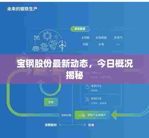 宝钢股份最新动态,今日概况揭秘