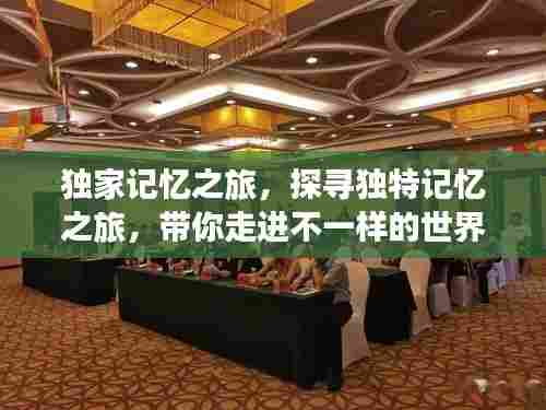 独家记忆之旅,探寻独特记忆之旅,带你走进不一样的世界!