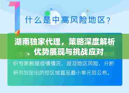 湖南独家代理,策略深度解析、优势展现与挑战应对