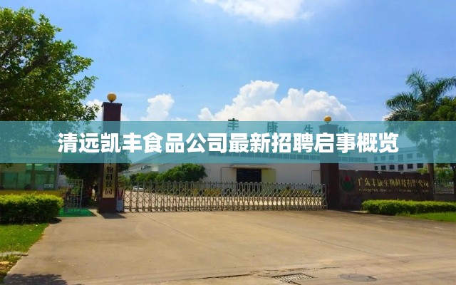 贵险贱璧 第6页