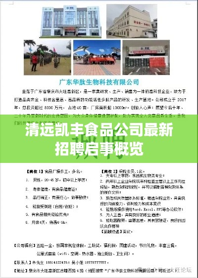 清远凯丰食品公司最新招聘启事概览