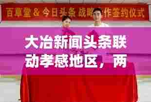 大冶新闻头条联动孝感地区,两地紧密合作展现新动态