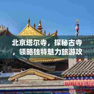 北京塔尔寺,探秘古寺,领略独特魅力旅游攻略