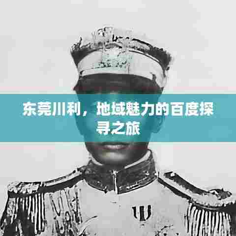 东莞川利，地域魅力的百度探寻之旅