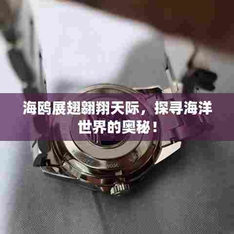 海鸥展翅翱翔天际，探寻海洋世界的奥秘！