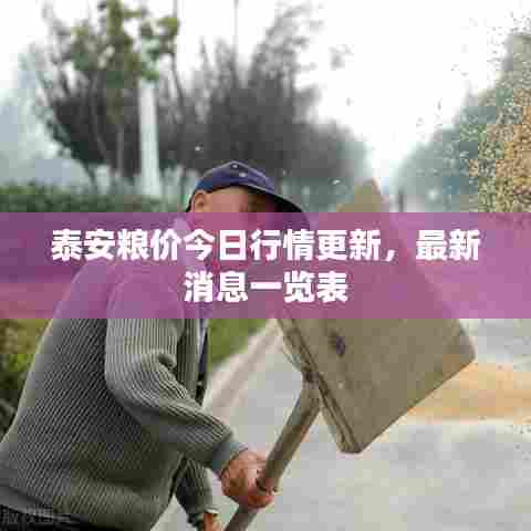 泰安粮价今日行情更新,最新消息一览表