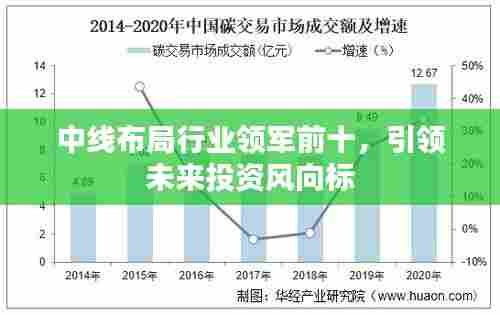 中线布局行业领军前十，引领未来投资风向标