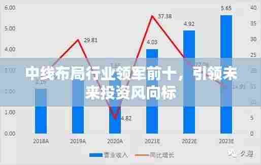 中线布局行业领军前十,引领未来投资风向标