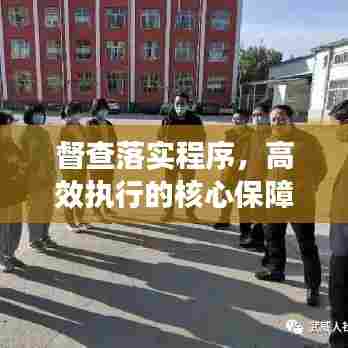 督查落实程序,高效执行的核心保障