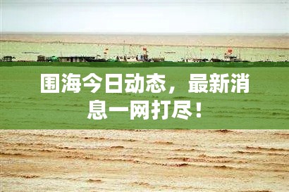 围海今日动态，最新消息一网打尽！
