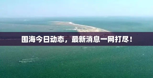 围海今日动态,最新消息一网打尽!