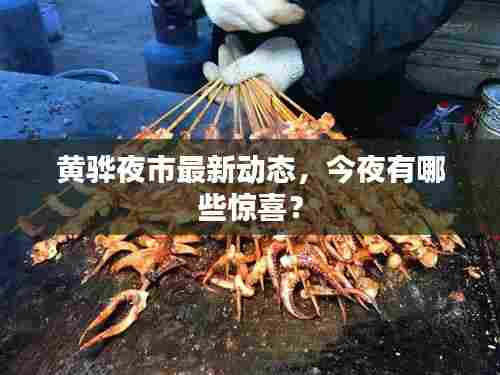 黄骅夜市最新动态,今夜有哪些惊喜?