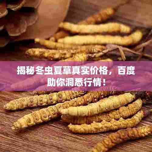 揭秘冬虫夏草真实价格,百度助你洞悉行情!