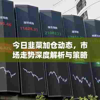 今日韭菜加仓动态,市场走势深度解析与策略调整建议