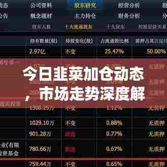 今日韭菜加仓动态,市场走势深度解析与策略调整建议