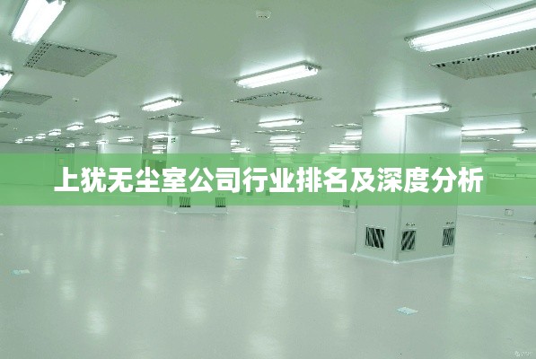 上犹无尘室公司行业排名及深度分析