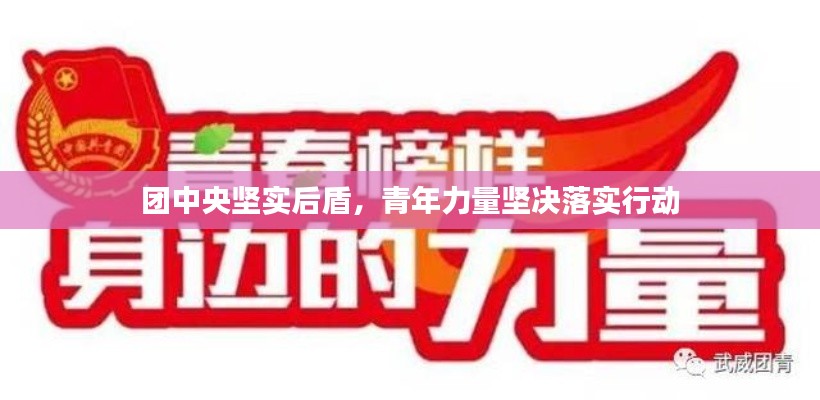 团中央坚实后盾,青年力量坚决落实行动
