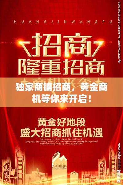 独家商铺招商，黄金商机等你来开启！