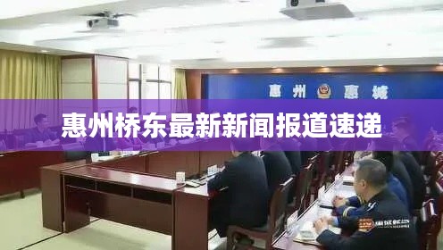 惠州桥东最新新闻报道速递
