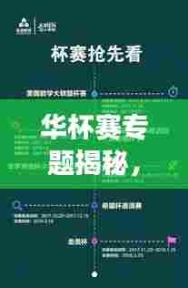 华杯赛专题揭秘,数学盛宴背后的奥秘探索之旅