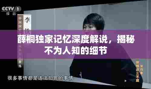 薛桐独家记忆深度解说，揭秘不为人知的细节