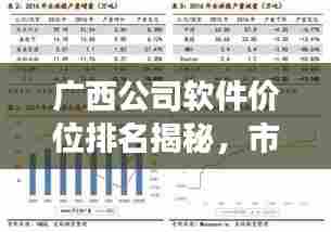 广西公司软件价位排名揭秘，市场分析深度解读