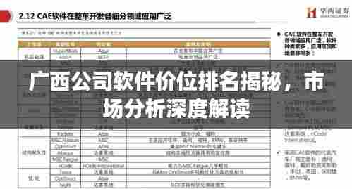 广西公司软件价位排名揭秘,市场分析深度解读