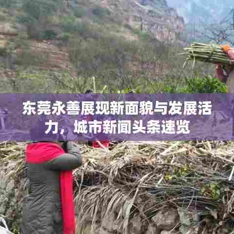东莞永善展现新面貌与发展活力，城市新闻头条速览