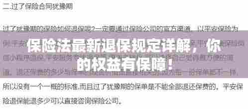保险法最新退保规定详解，你的权益有保障！