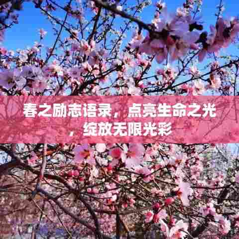 春之励志语录,点亮生命之光,绽放无限光彩