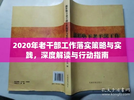 2020年老干部工作落实策略与实践，深度解读与行动指南