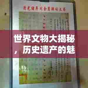 世界文物大揭秘,历史遗产的魅力与价值排名